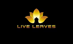 liveleaves黑底黄标1.jpg